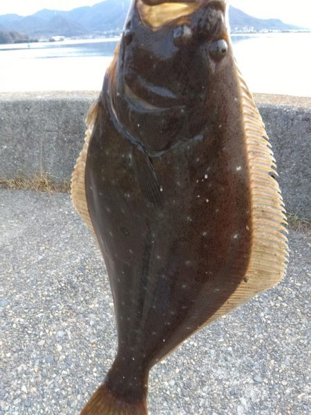 4年ぶりにネットイン